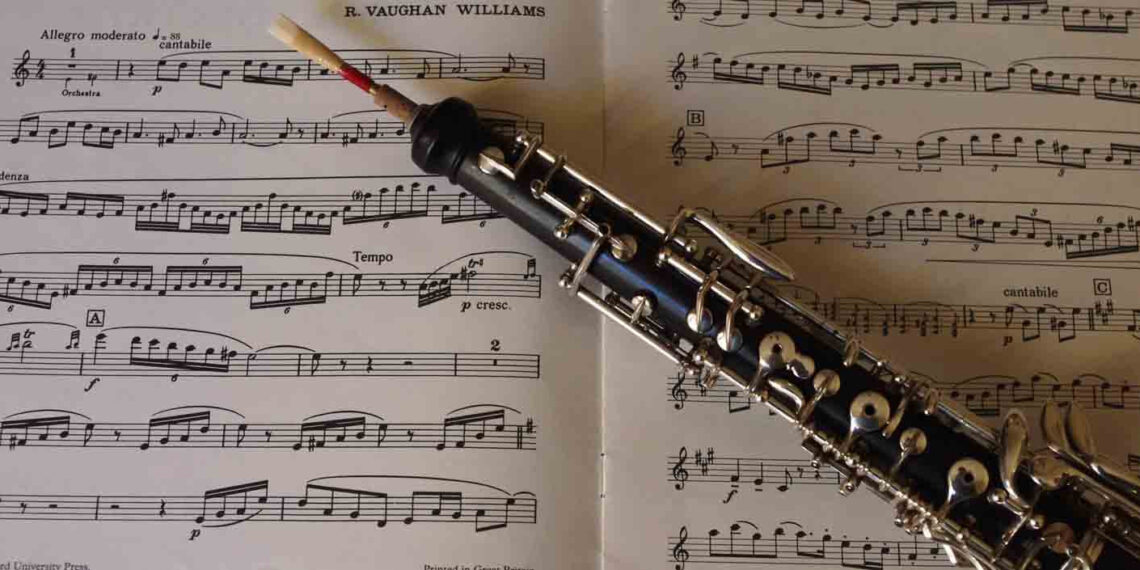 concurso interpretes