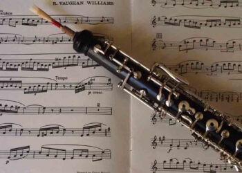 concurso interpretes