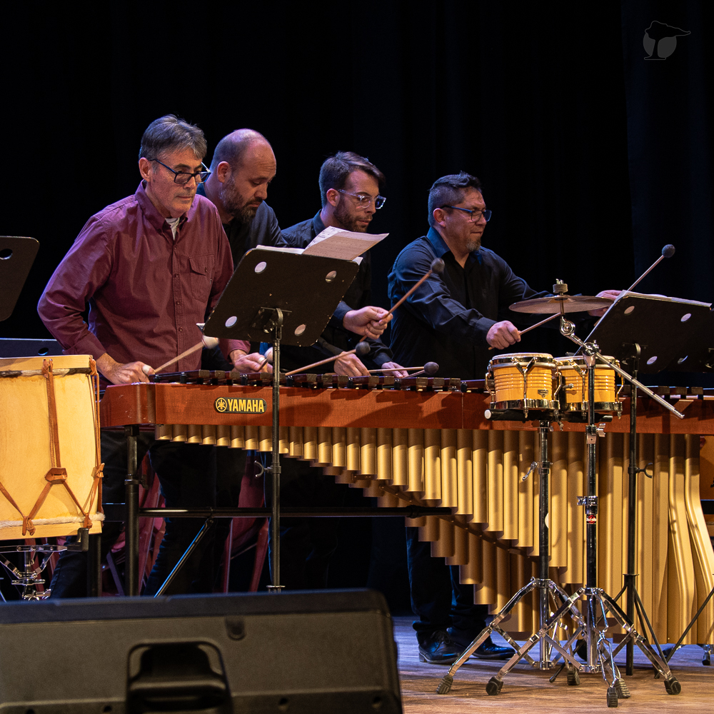Ya comenzó: este es el cronograma del 24º Festival Internacional de Percusión